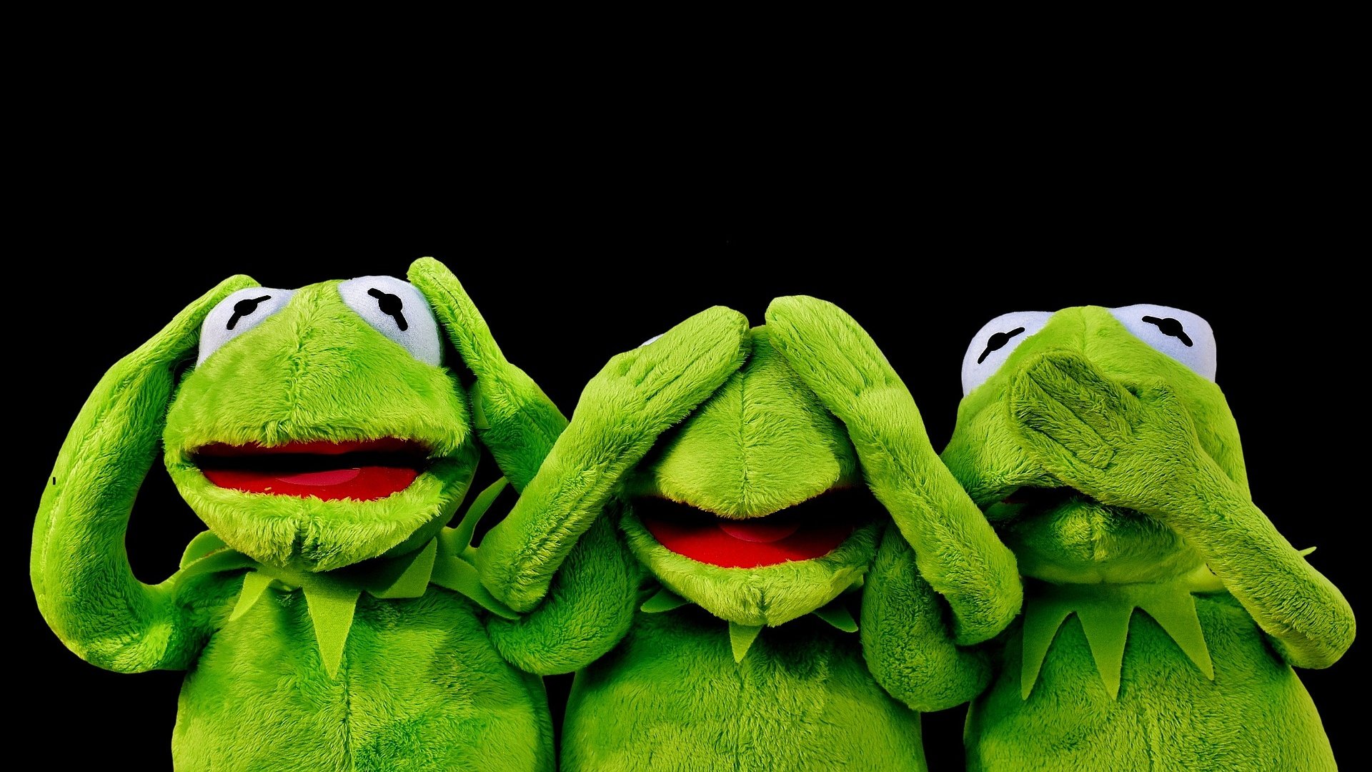 Trois peluches en forme de grenouilles, assises côte à côte, les pattes sur la tête – une image drôle et expressive qui illustre le désarroi des parents face aux difficultés de sommeil de leur enfant.