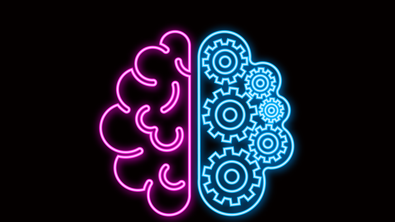 Schéma du cerveau d'un bébé montrant le développement des zones de régulation émotionnelle et le rôle des circuits neuronaux dans le stress et l'auto-régulation