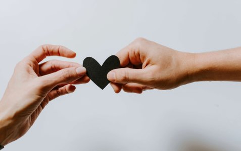 Deux mains d'adulte tenant un cœur, symbole du soutien bienveillant que j'offre aux parents dans l'accompagnement du sommeil de leur enfant 